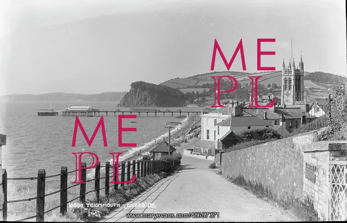 : Teignmouth Pier and Coastal View : Teignmouth Pier and Coastal View