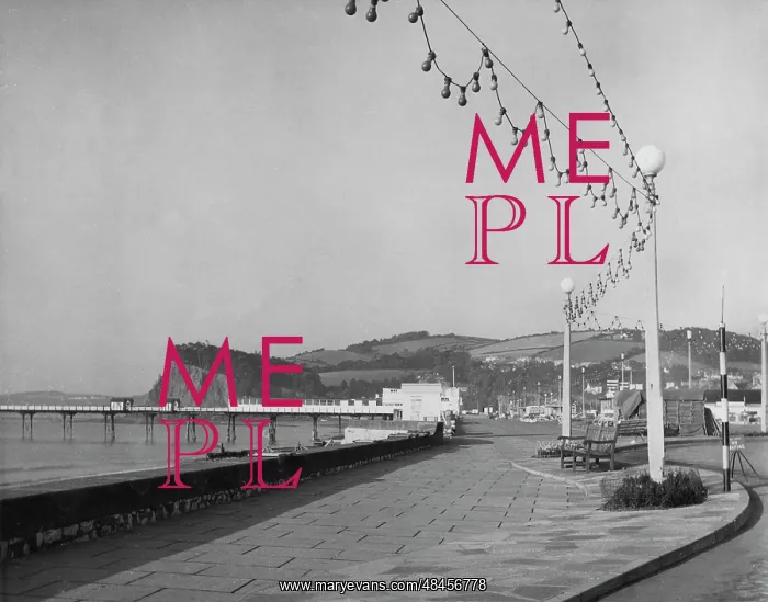 : TEIGNMOUTH PROMENADE : TEIGNMOUTH PROMENADE