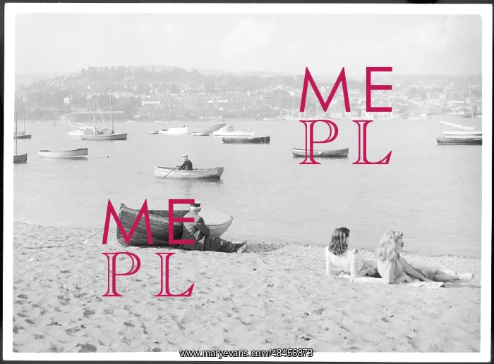 : TEIGNMOUTH FROM SHALDON : TEIGNMOUTH FROM SHALDON