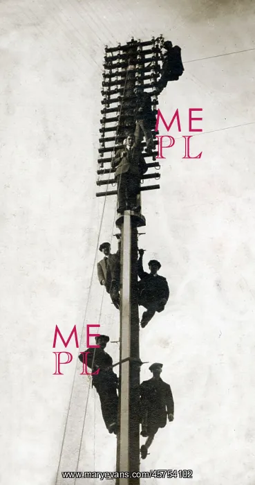 : Telecommunication engineers installing a new telegraph pole : Telecommunication engineers installing a new telegraph pole