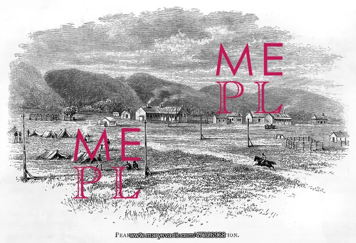  : TELEGRAPH / AUSTRALIA / C19
