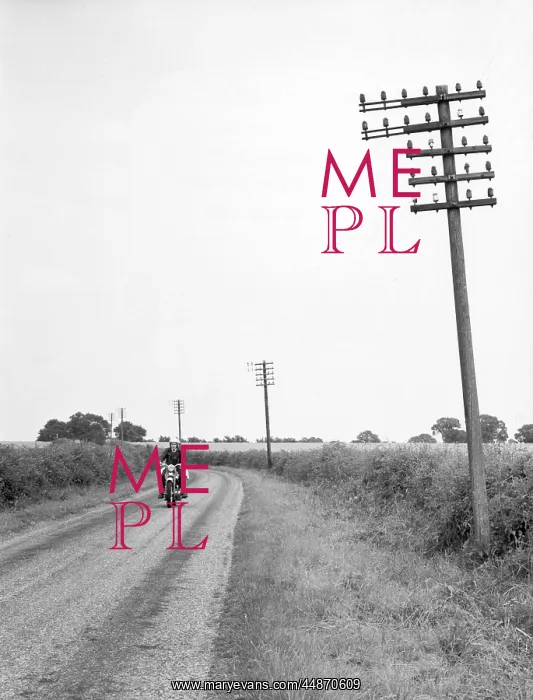 : TELEGRAPH POLES EYESORE : TELEGRAPH POLES EYESORE