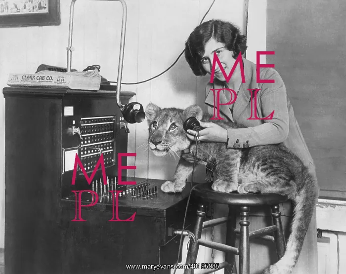 : Telephone operator with a lion cub, 1925 : Telephone operator with a lion cub, 1925