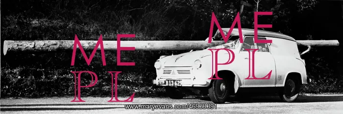: Telephone Pole Crashes Through Car : Telephone Pole Crashes Through Car