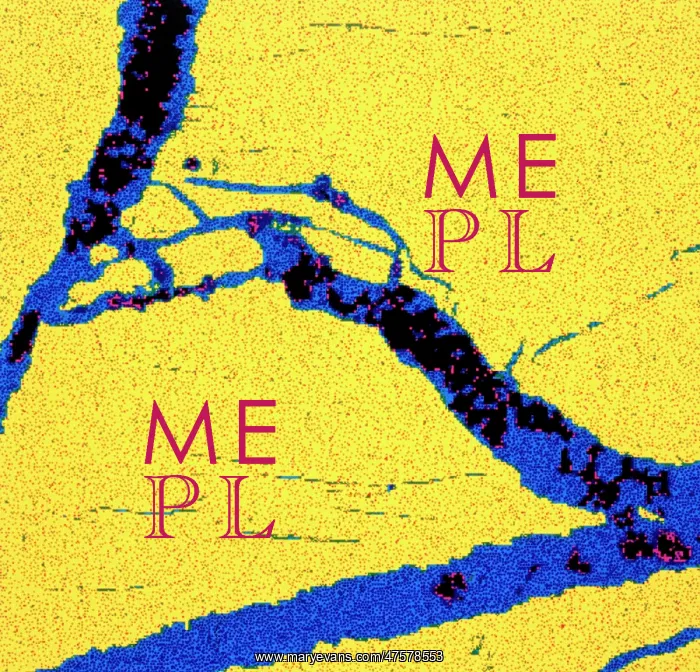 : Tellurium. Scanning electron microscope image of an elemental map showing : Tellurium. Scanning electron microscope image of an elemental map showing