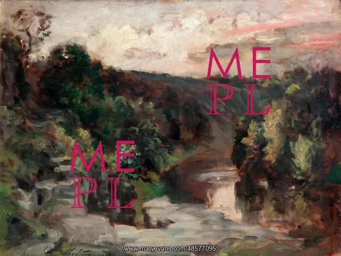  : The Teme at Ludlow