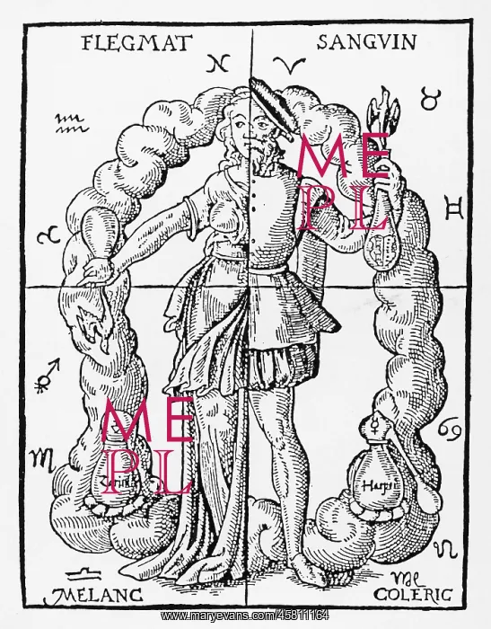 : FOUR TEMPERAMENTS 16C : FOUR TEMPERAMENTS 16C