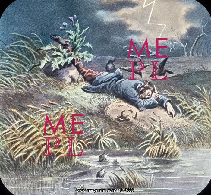 : Temperance Movement Lantern Slide the Drunkard's Career Sc : Temperance Movement Lantern Slide the Drunkard's Career Sc
