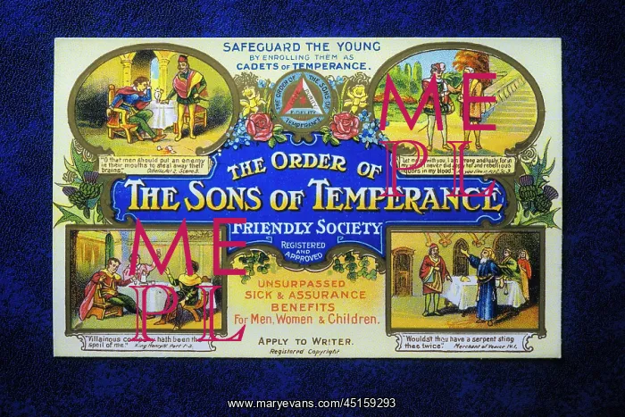 : Temperance Promotion Postcard by the Order of : Temperance Promotion Postcard by the Order of