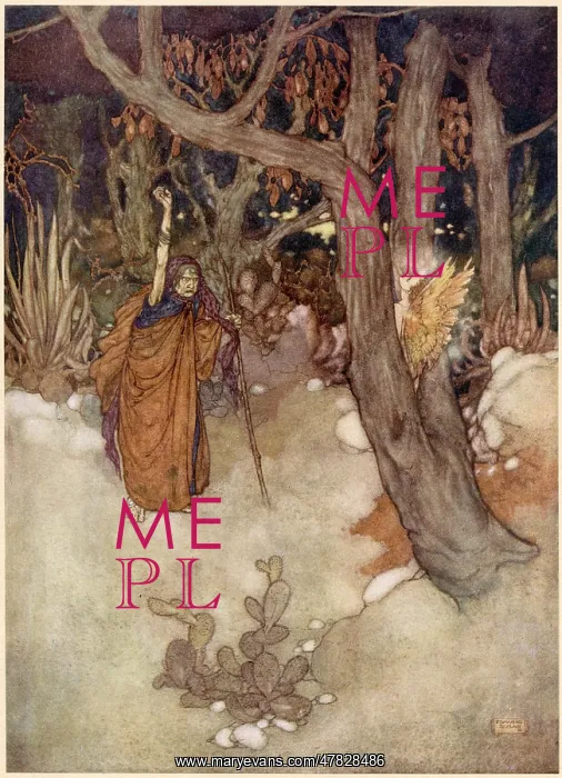 : The Tempest : The Tempest