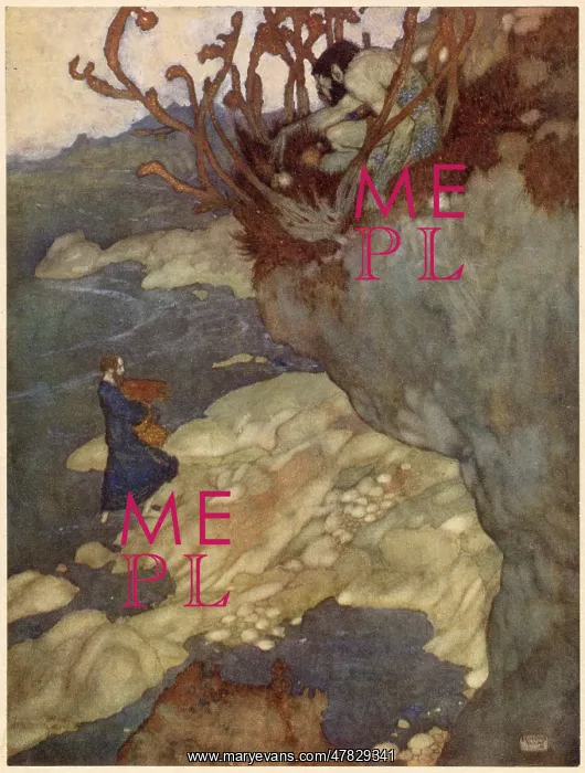 : The Tempest : The Tempest