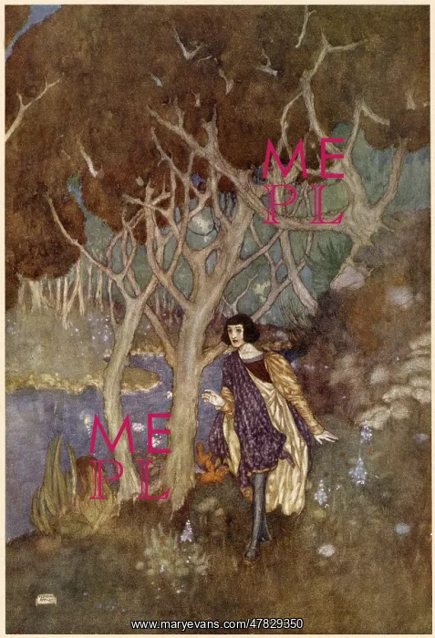 : The Tempest : The Tempest