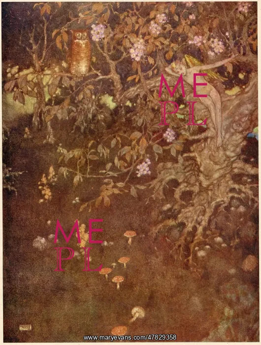 : The Tempest : The Tempest