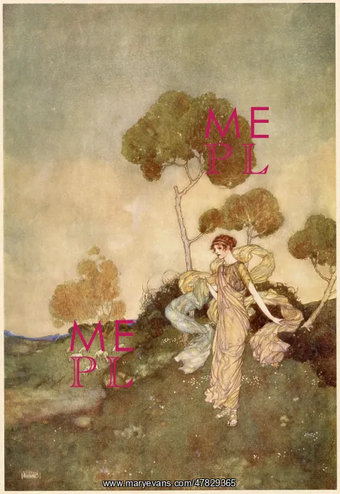 : The Tempest : The Tempest