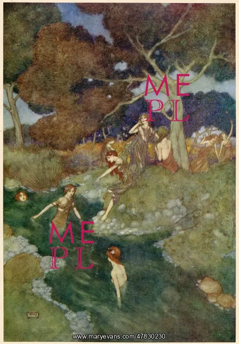 : The Tempest : The Tempest
