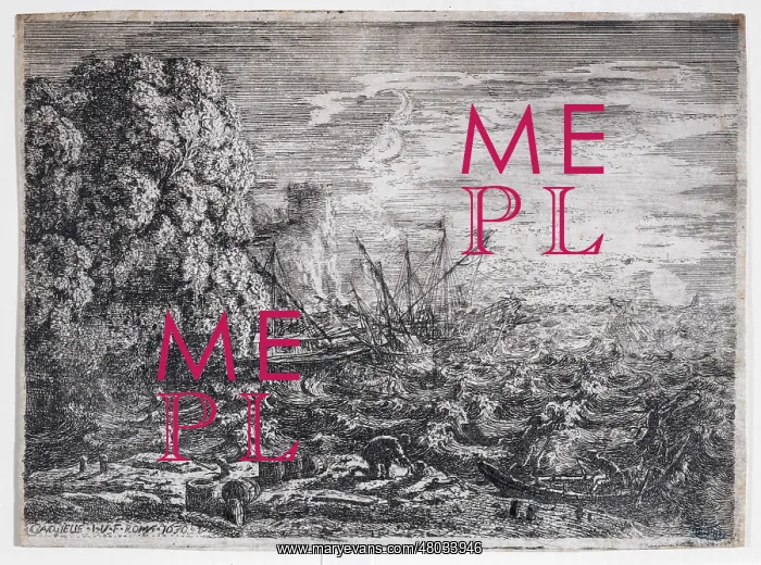 : The Tempest : The Tempest