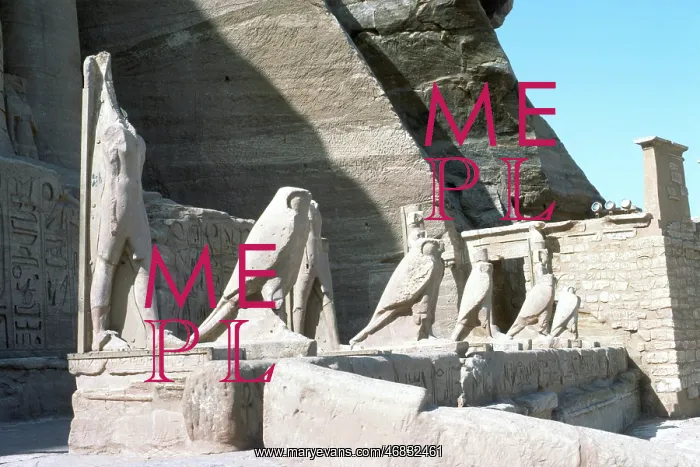 : Temple of Abu Simbel, Egypt - the Falcons : Temple of Abu Simbel, Egypt - the Falcons