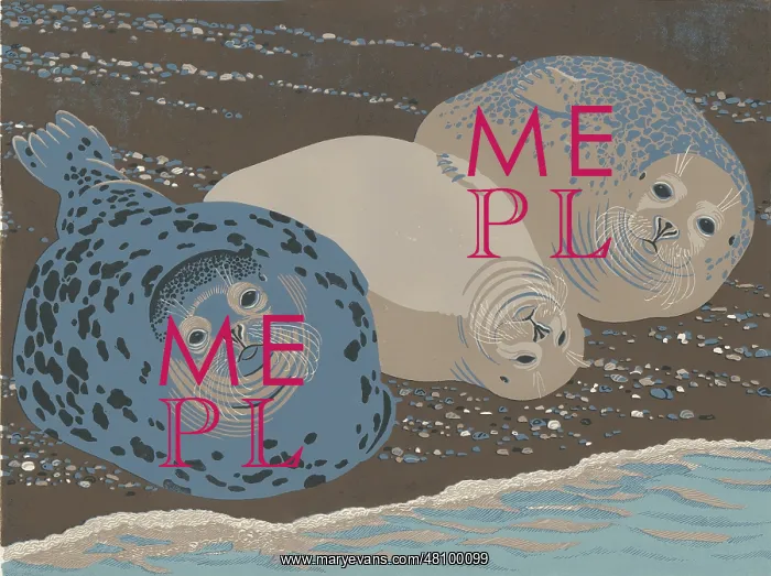 : Temple, Bishop and Bean - Three Blakeney Point Seals : Temple, Bishop and Bean - Three Blakeney Point Seals