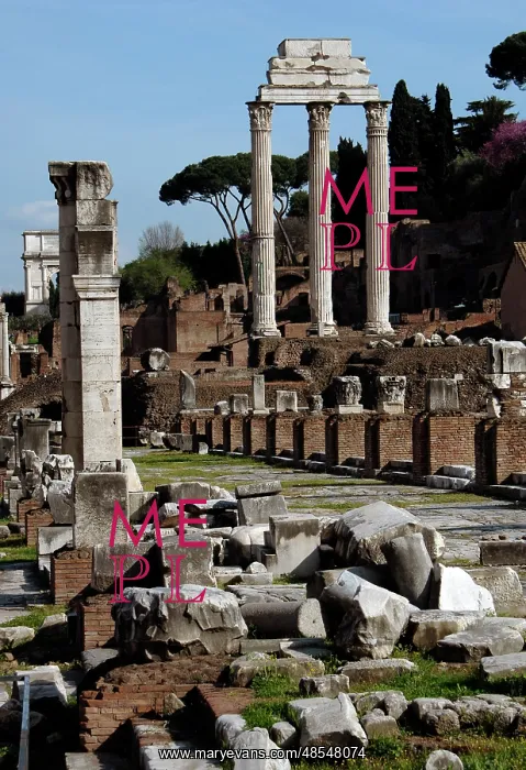 : Temple of Castor and Pollux. Rome. Italy : Temple of Castor and Pollux. Rome. Italy