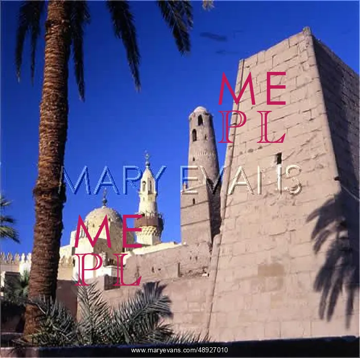 : TEMPLE OF LUXOR : TEMPLE OF LUXOR