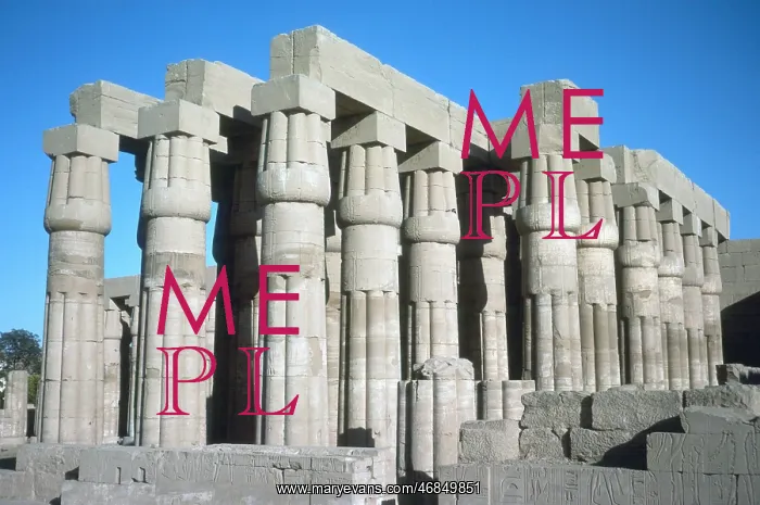 : TEMPLE OF LUXOR / COLUMNS : TEMPLE OF LUXOR / COLUMNS