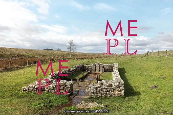: Temple of Mithras, Hadrian's Wall, Northumberland, England : Temple of Mithras, Hadrian's Wall, Northumberland, England