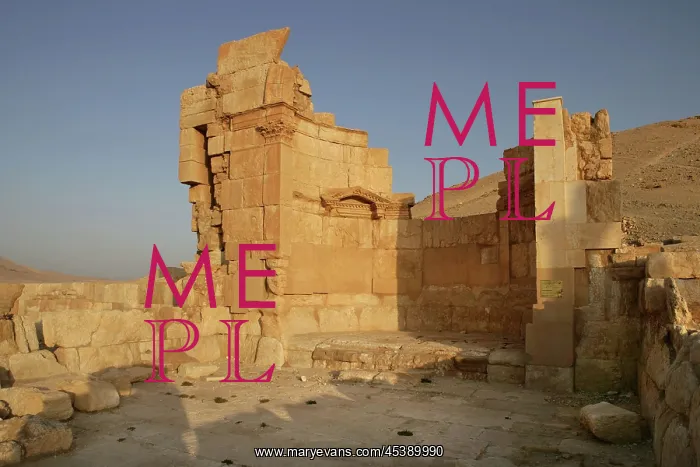 : Temple of the Standards, Palmyra, Syria : Temple of the Standards, Palmyra, Syria