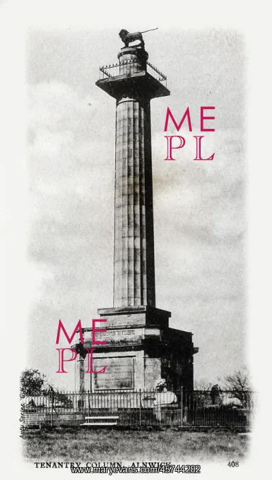  : Tenantry Column, Alnwick, Northumberland