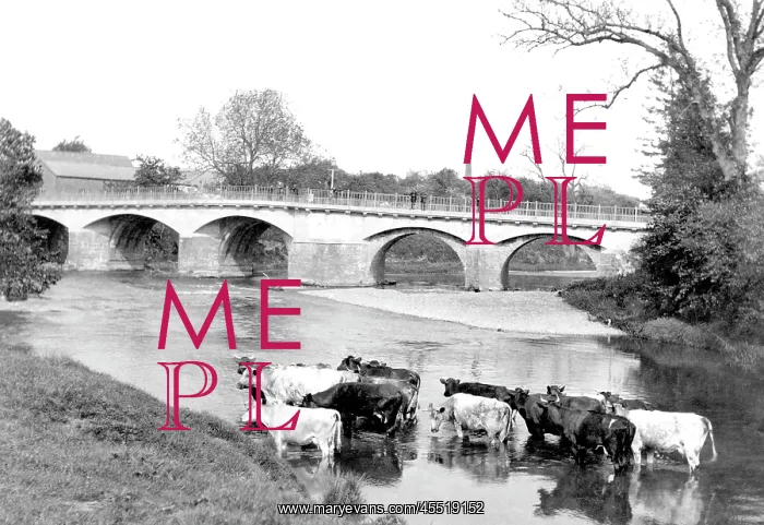  : Tenbury Wells, Teme Bridge 1898