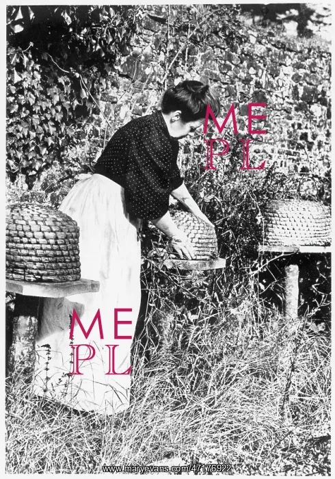 : TENDING THE BEES : TENDING THE BEES