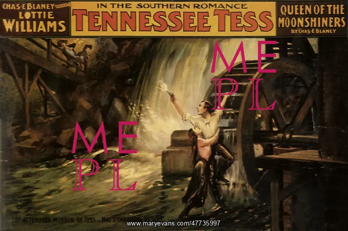  : Tennessee Tess
