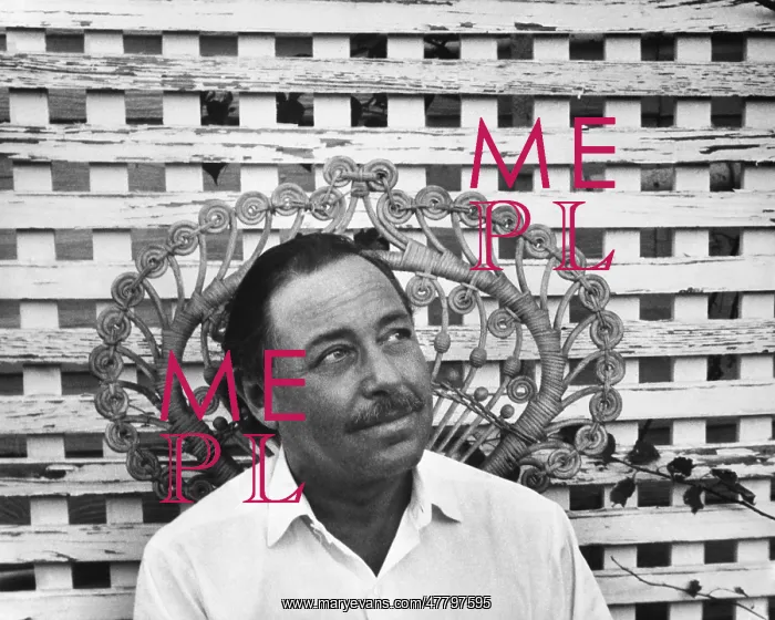 : Tennessee Williams, c.1966 : Tennessee Williams, c.1966