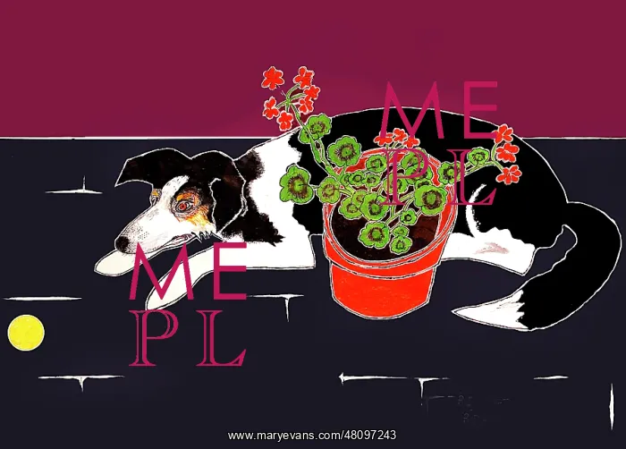  : Tennis Ball and Geraniums