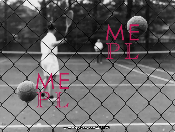 : TENNIS BALLS IN FENCE : TENNIS BALLS IN FENCE