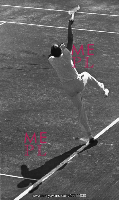 : Tennis player : Tennis player