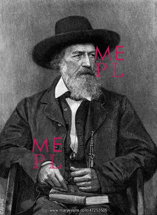 : Tennyson Barraud : Tennyson Barraud