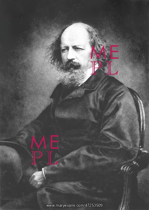 : Tennyson Maclure : Tennyson Maclure