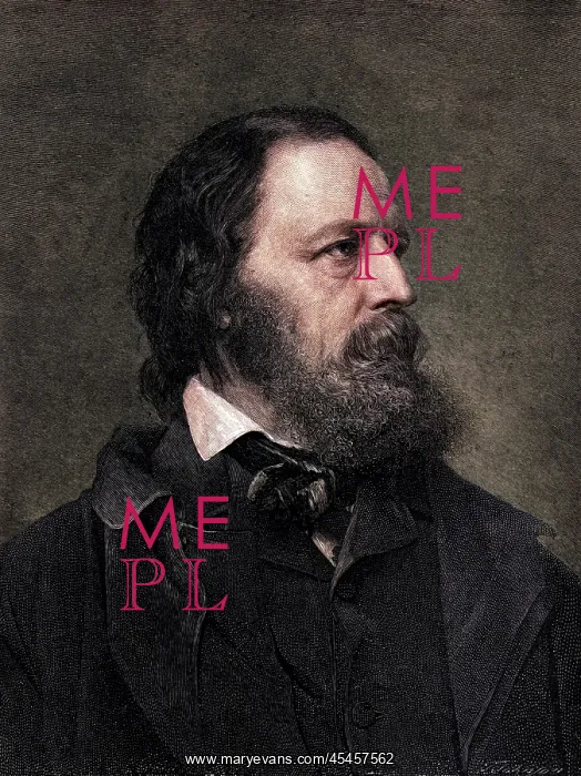 : Tennyson Mayall : Tennyson Mayall