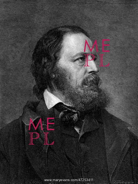 : Tennyson Mayall : Tennyson Mayall