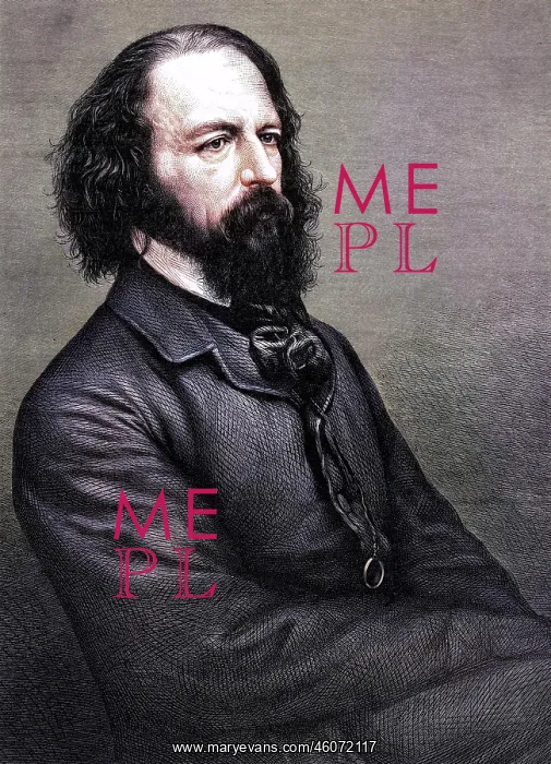  : Tennyson Molocle