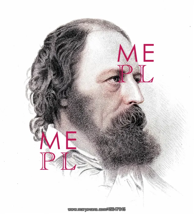  : Tennyson Mote