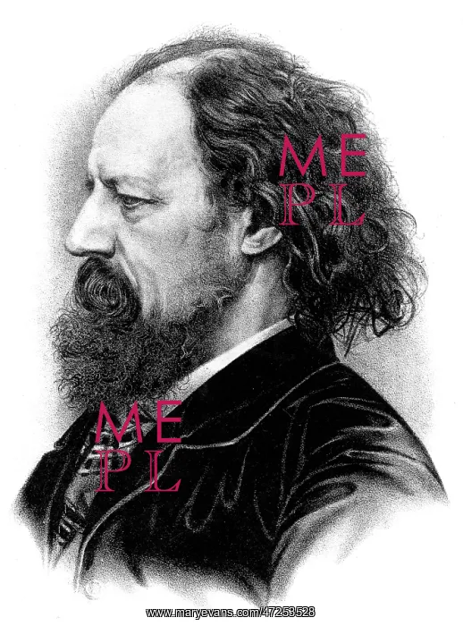 : Tennyson profile