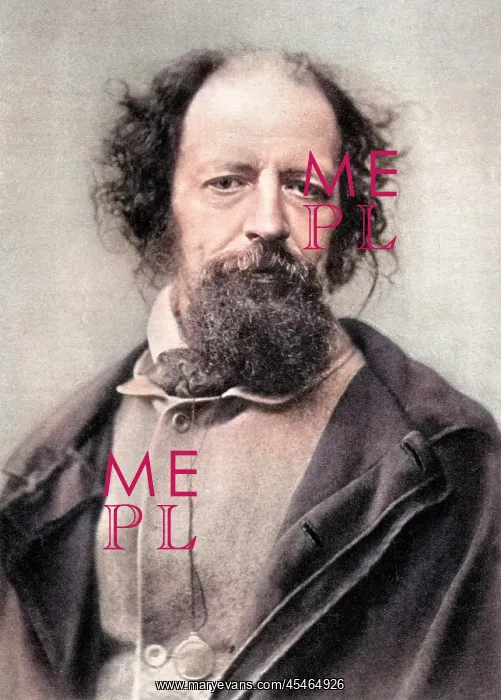 : Tennyson Stereoscopic : Tennyson Stereoscopic