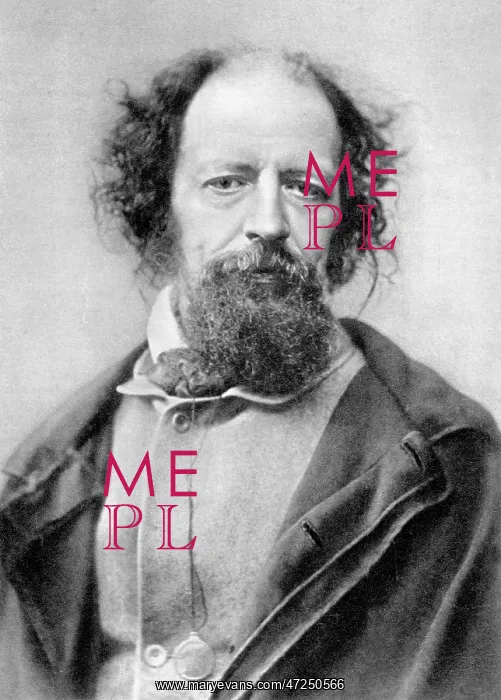 : Tennyson Stereoscopic : Tennyson Stereoscopic