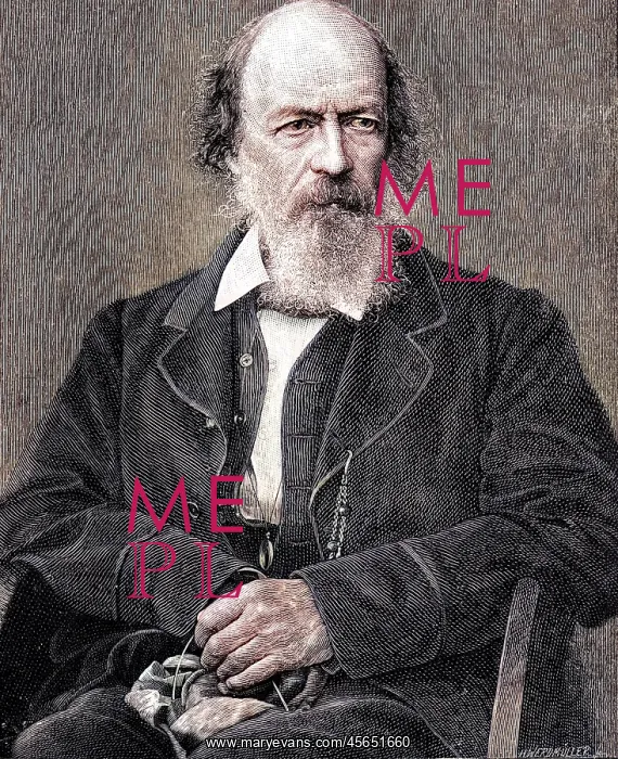 : Tennyson Werdmuller : Tennyson Werdmuller