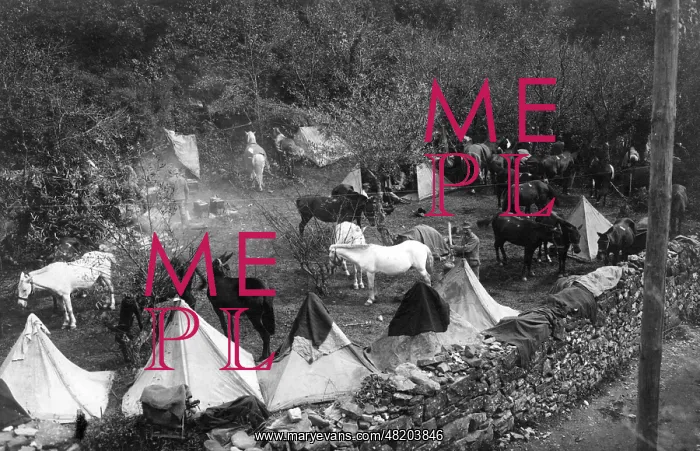 : Tent camp of a supply unit, 1916 : Tent camp of a supply unit, 1916