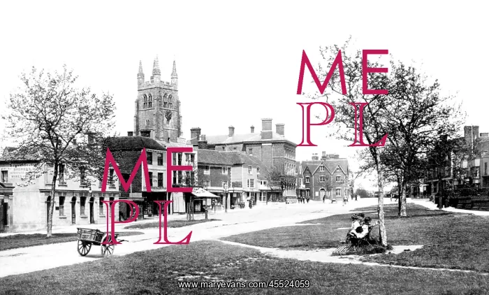  : Tenterden, High Street 1900