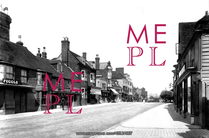  : Tenterden, High Street 1900