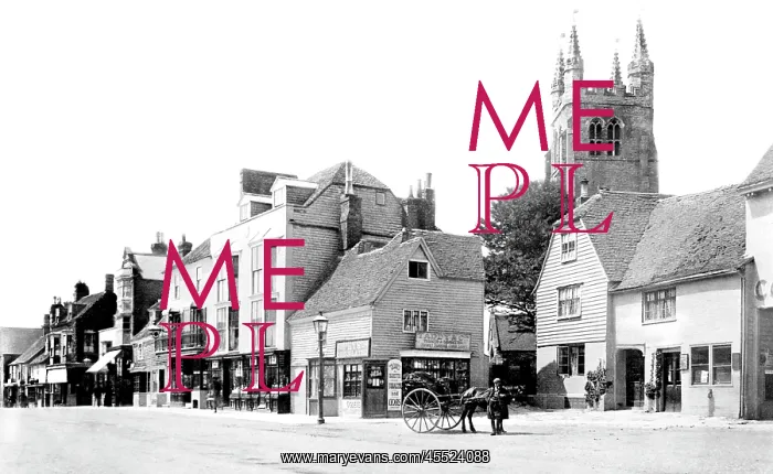  : Tenterden, High Street 1900