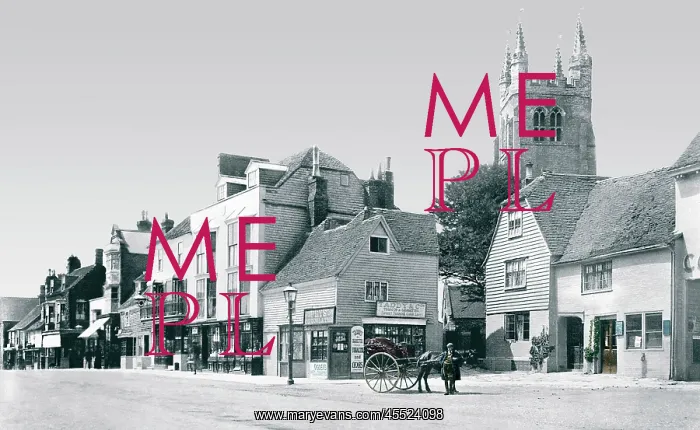 : Tenterden, High Street 1900